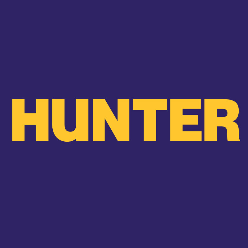 Hunter College Hawks Basic Block Hoodie - Purple