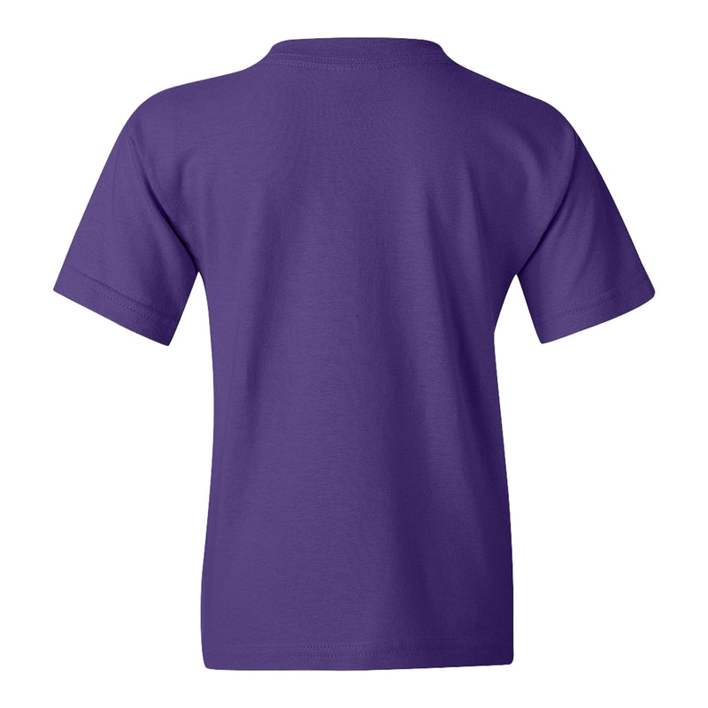 Hunter College Hawks Arch Logo Youth T Shirt - Purple