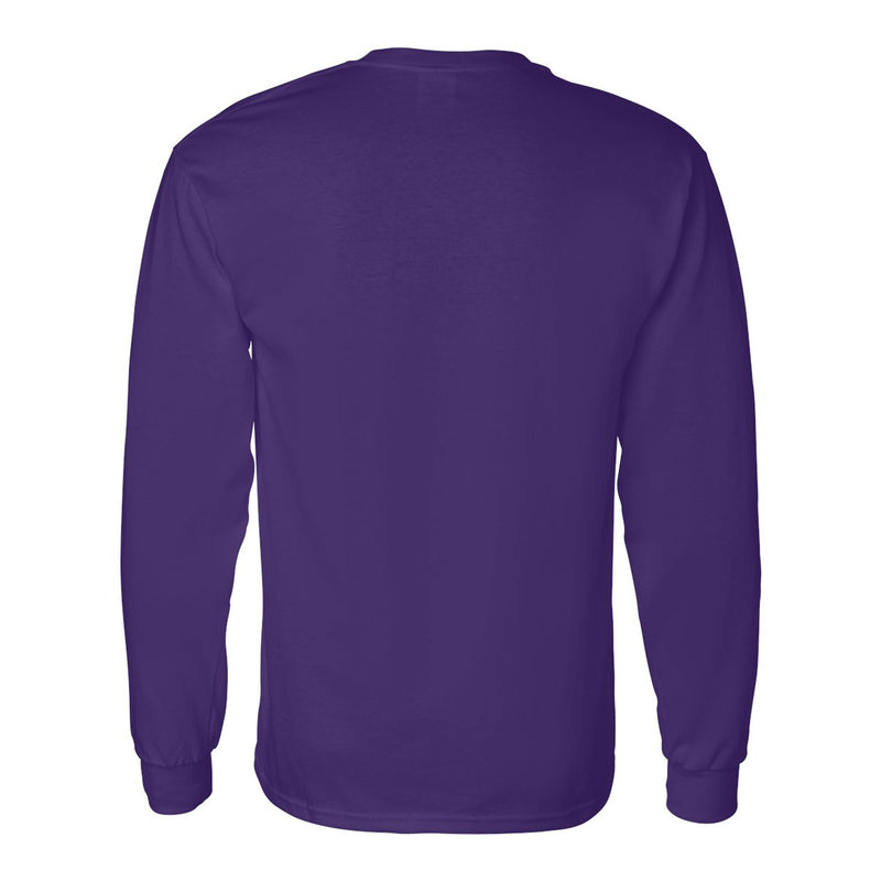 Hunter College Hawks Arch Logo Long Sleeve T Shirt - Purple