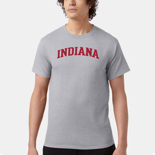 Indiana Arched Champion SS T-Shirt - Light Steel