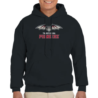 Transylvania University Pioneers Primary Logo Heavy Blend Hoodie - Black