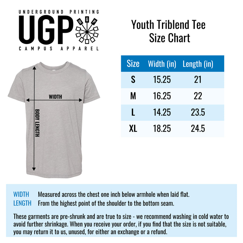 UGP Classics RHI Minnesota Arctic Blast Youth Triblend - True Royal