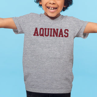 Aquinas Saints Basic Block Youth T Shirt - Sport Grey