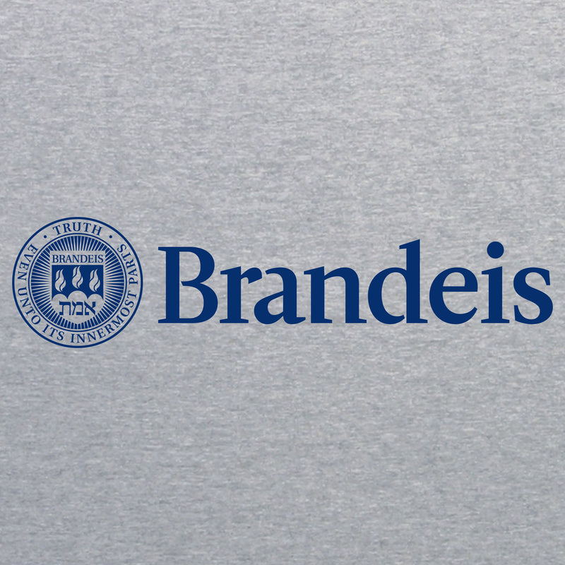 Brandeis Judges Institutional Logo Hoodie - Sport Grey