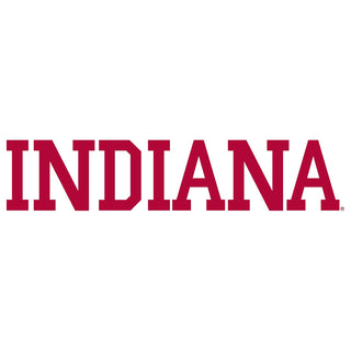 Indiana University Hoosiers Basic Block Hoodie - White