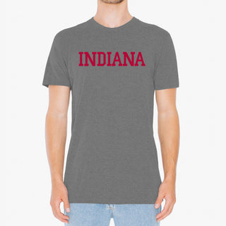 Indiana Basic Block NLA Triblend T-Shirt - Premium Heather