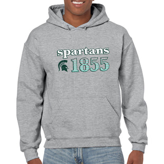 Michigan State University Spartans Throwback Year Stripe Heavy Blend Hoodie - Sport Grey