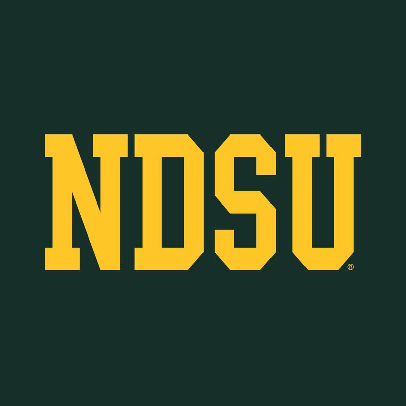 North Dakota State University Bison Basic Block Hoodie - Forest