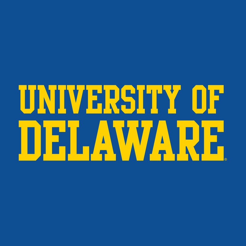 Delaware Blue Hens Basic Block T Shirt - Royal