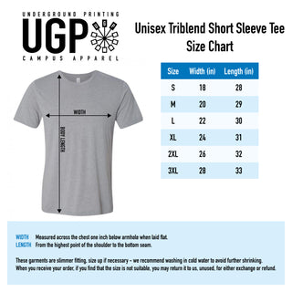 Indiana University Hoosiers Basic Block Canvas Triblend Short Sleeve T Shirt - Athletic Grey Triblend