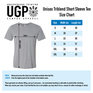 Purdue University Boilermakers Basic Block Canvas Triblend T Shirt - Athletic Grey Triblend